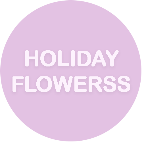 Цветочные композиции, букеты от 45 р. в магазине "Holiday flowerss"